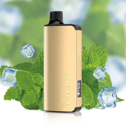 ALIBARBAR INGOT 9000 COOL MINT Disposable Vape Australia