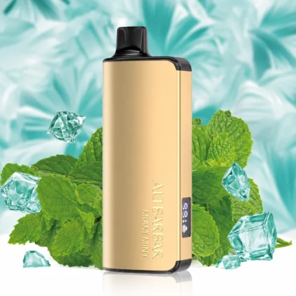 ALIBARBAR INGOT 9000 MIAMI MINT Disposable Vape Australia