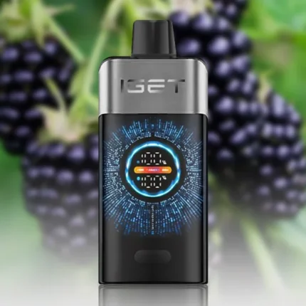 IGET ONE 12000 BLACKBERRY ICE Disposable Vape Australia