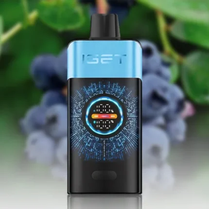 IGET ONE 12000 BLUEBERRY ICE Disposable Vape Australia