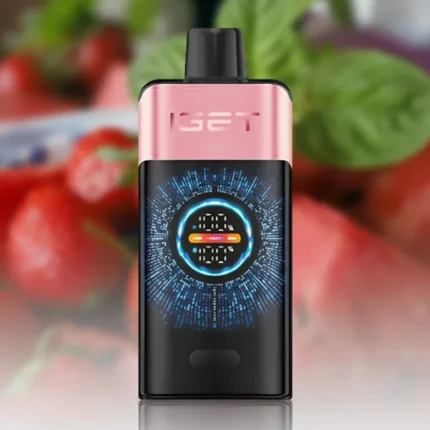 IGET ONE 12000 STRAWBERRY WATERMELON ICE Disposable Vape Australia