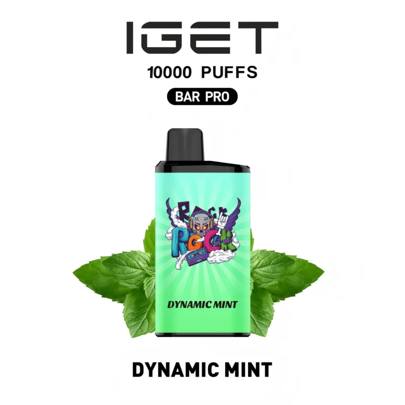 IGET BAR PRO 10000 Dynamic mint Disposable Vape Australia