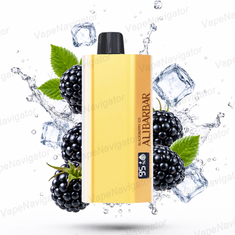 ALIBARBAR TEQ 12000 Blackberry ice Disposable Vape Australia