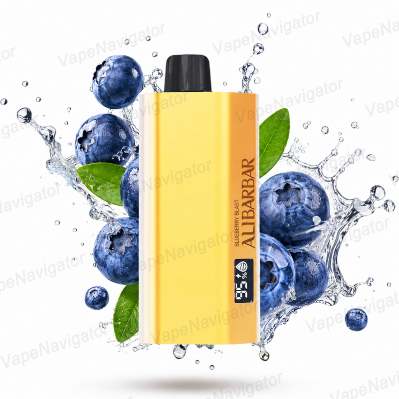 ALIBARBAR TEQ 12000 Blueberry blast Disposable Vape Australia